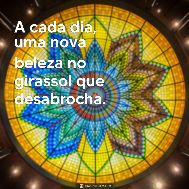 Encante seus seguidores com as melhores frases para fotos de girassol 