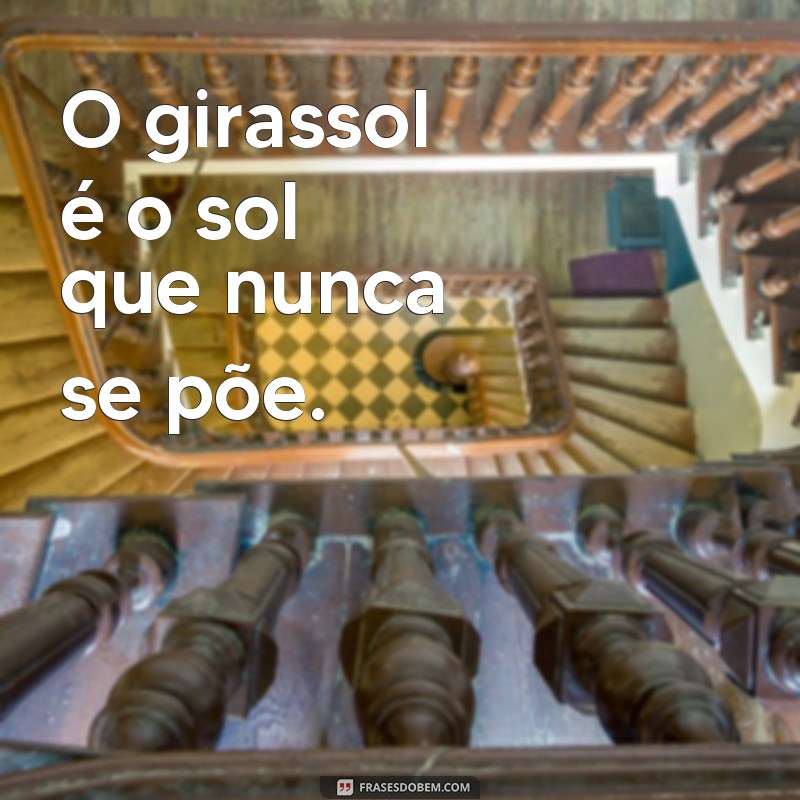 Encante seus seguidores com as melhores frases para fotos de girassol 