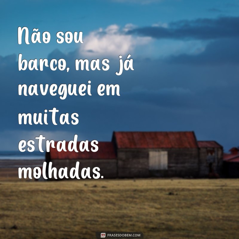 Divirta-se com as Melhores Frases de Parachoque de Caminhão Engraçadas 