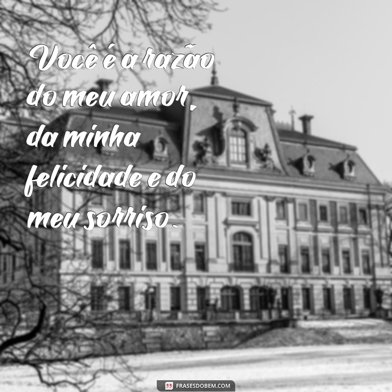 Encante seus contatos com as melhores frases de carinho para WhatsApp 