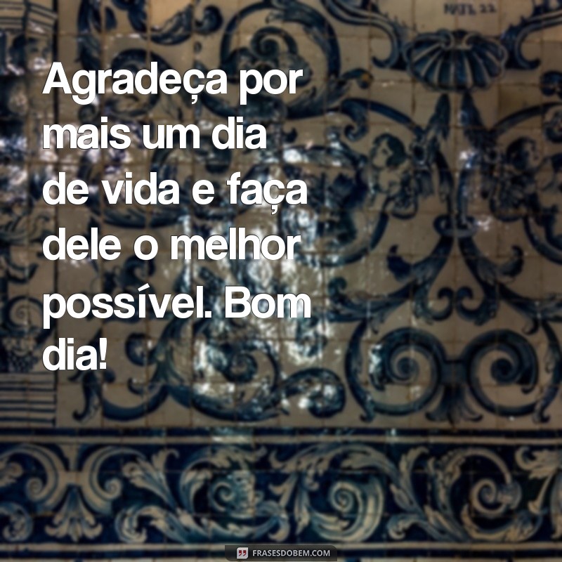 Encante seus amigos com as melhores frases de bom dia para enviar pelo zap 