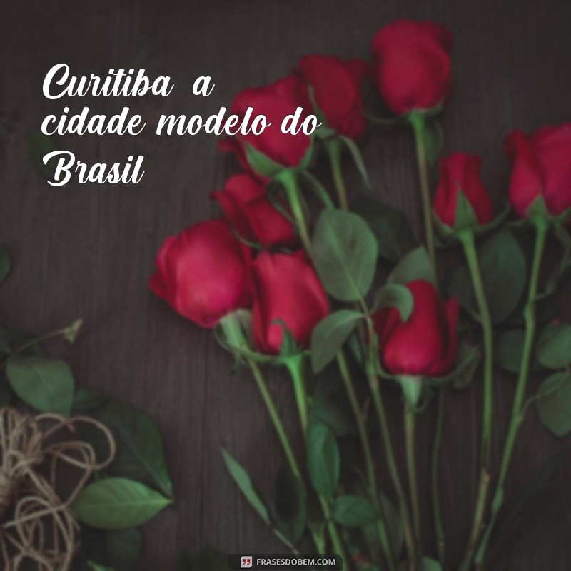 frases de curitiba Curitiba, a cidade modelo do Brasil.