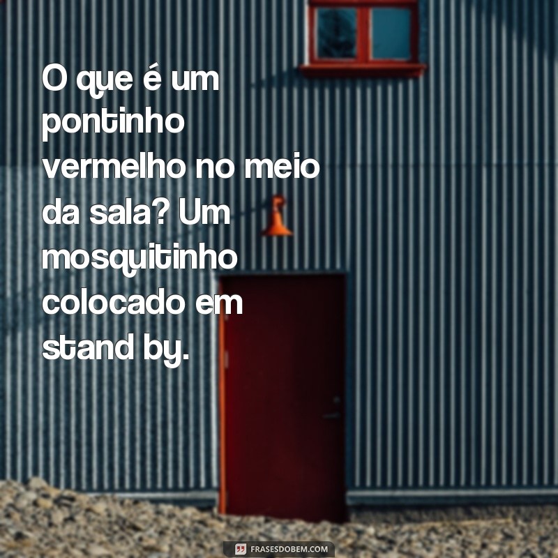 Divirta-se com as melhores frases piadas curtas e engraçadas! 