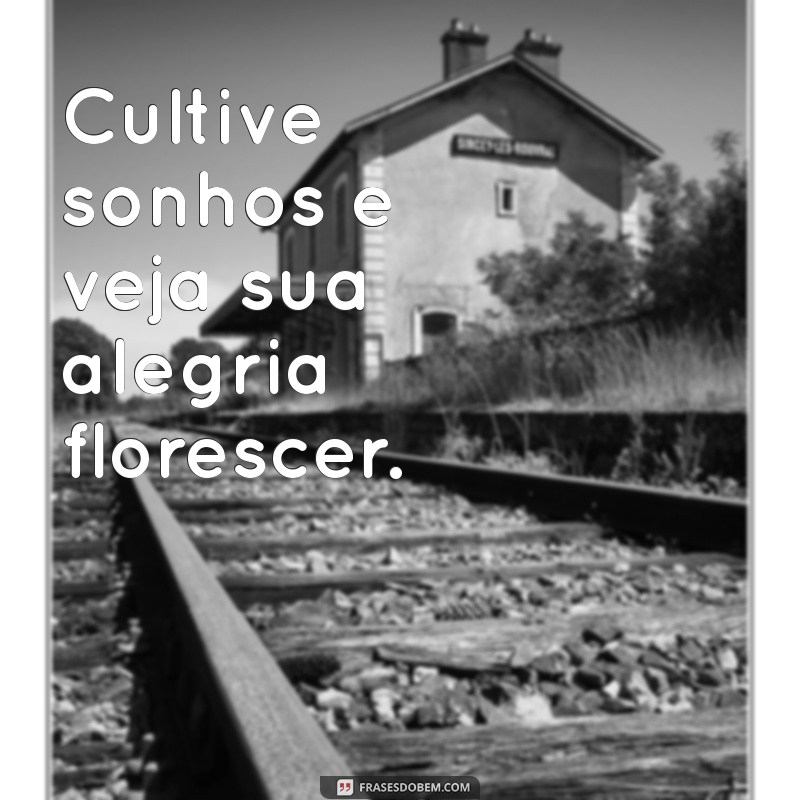 Frases Inspiradoras para Celebrar a Felicidade: Mensagens de Alegria e Positividade 