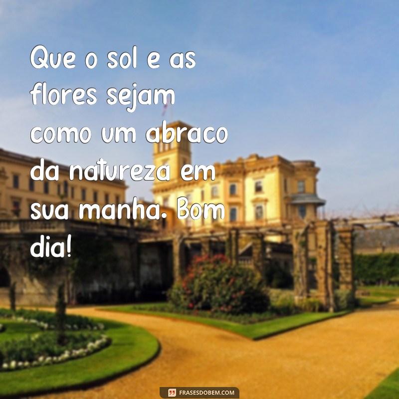 Encante seu dia com lindas frases de bom dia com sol e flores 