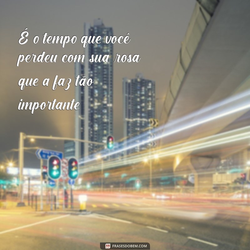 As Melhores Frases de O Pequeno Príncipe que Inspiram e Encantam 