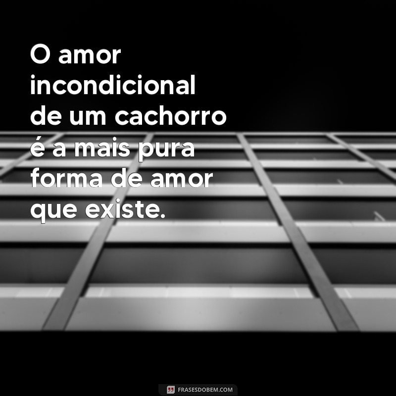 frases cachorro amor incondicional O amor incondicional de um cachorro é a mais pura forma de amor que existe.