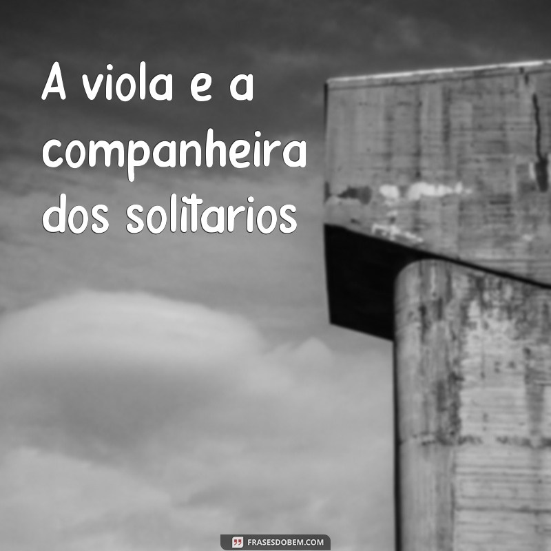 Descubra as melhores frases de moda de viola e encante-se com a tradição sertaneja 