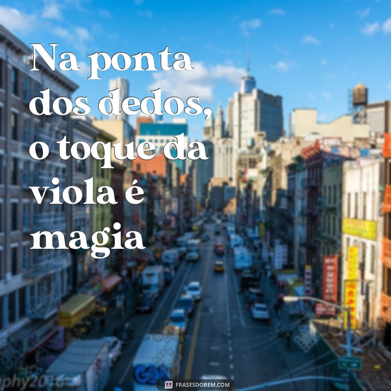 Descubra as melhores frases de moda de viola e encante-se com a tradição sertaneja 