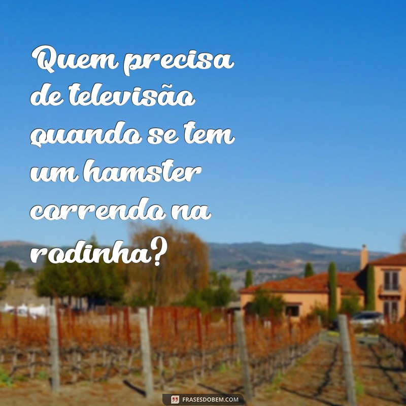 Divirta-se com as melhores frases dos vídeos de animais engraçados 