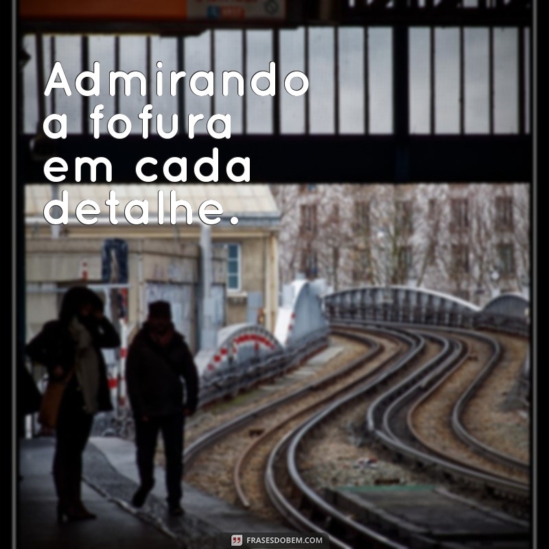 Encante-se com as melhores frases para legendar suas fotos fofinhas 