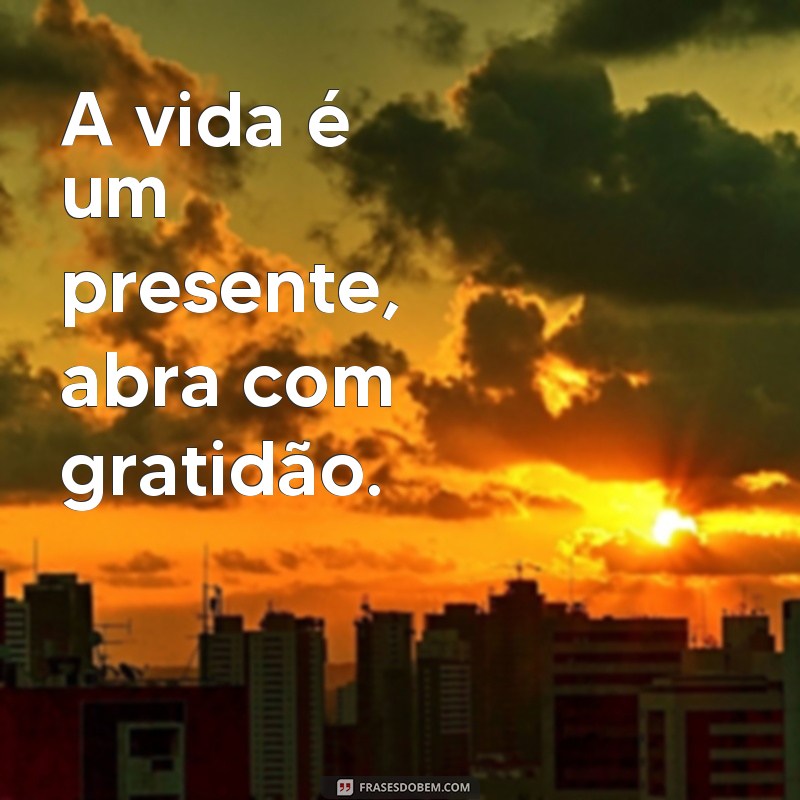 Encante-se com 21 frases lindas e curtas para inspirar seu dia 