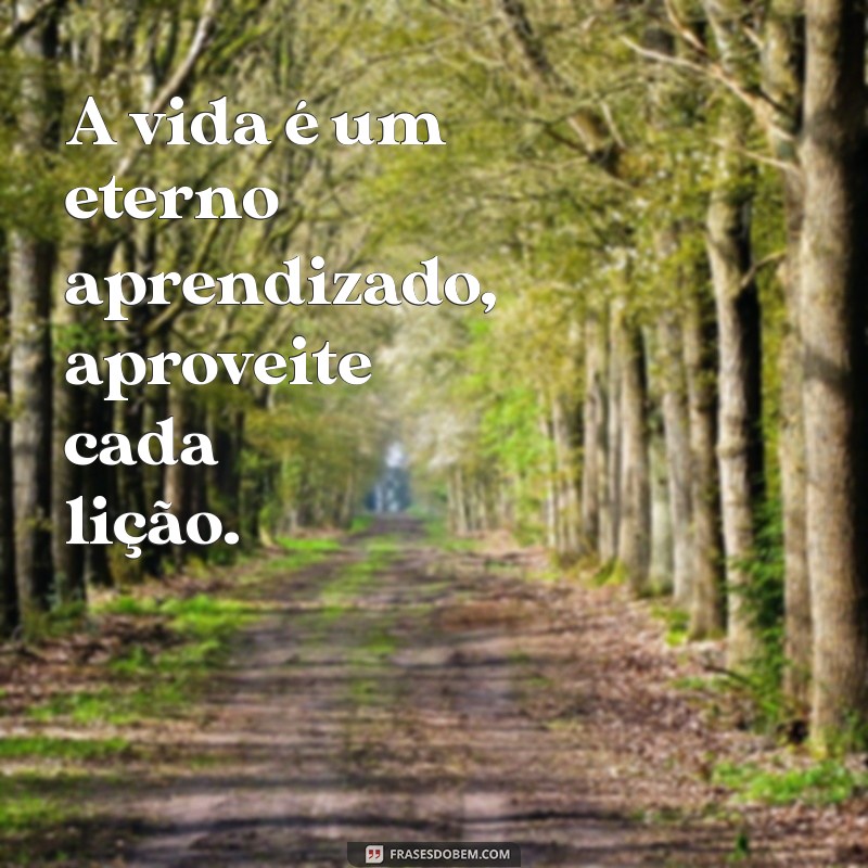 Transforme sua vida com estas poderosas frases de ressignificação 