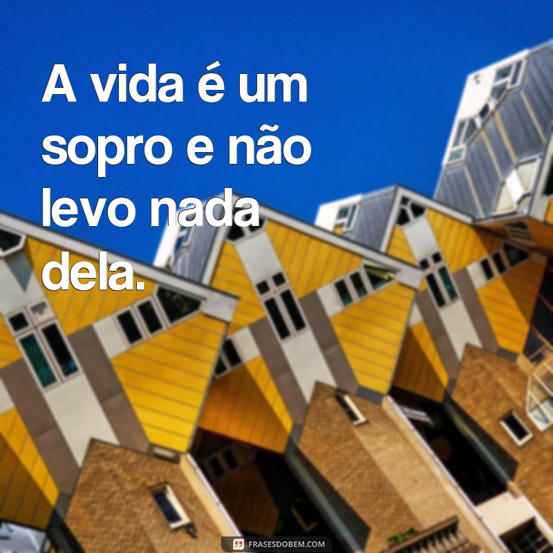 frases da vida não levo nada A vida é um sopro e não levo nada dela.