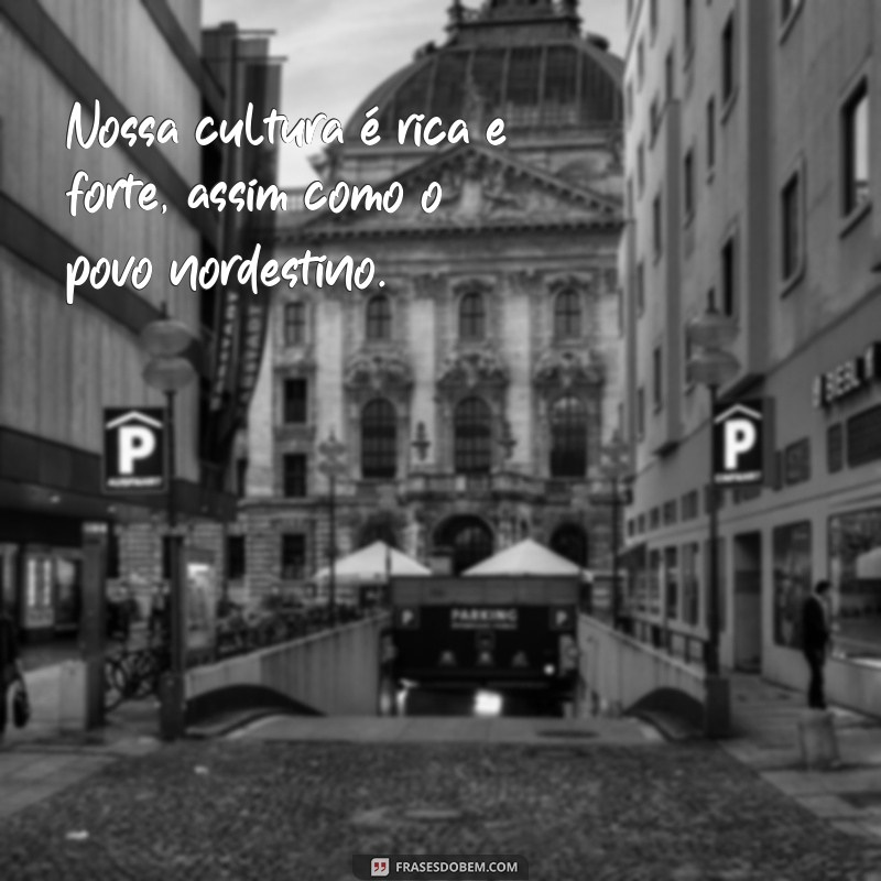 Descubra as melhores frases para celebrar o Dia do Nordestino! 