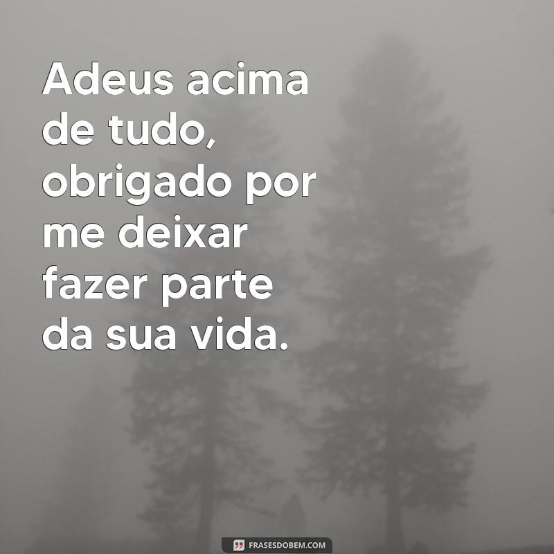 Descubra as melhores frases de adeus para superar tudo e seguir em frente 