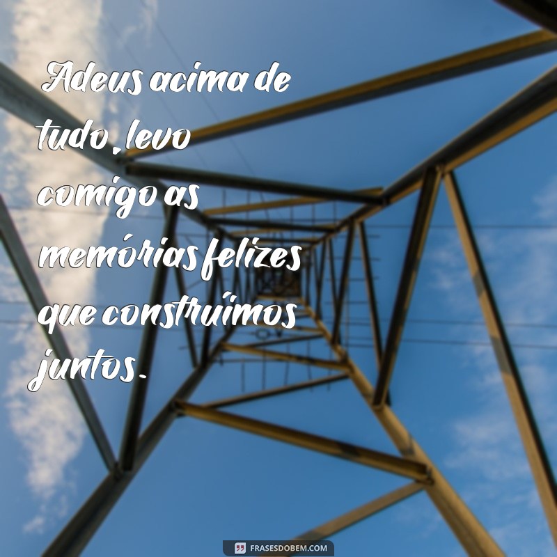 frases adeus acima de tudo Adeus acima de tudo, levo comigo as memórias felizes que construímos juntos.