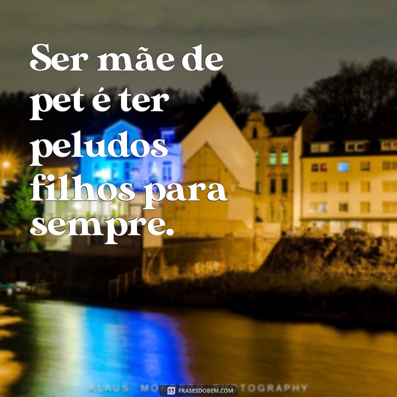 Descubra as melhores frases sobre maternidade pet: Mãe de pet também é mãe! 