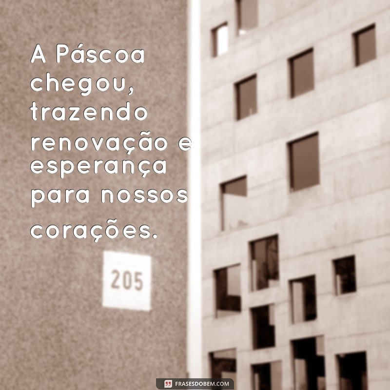 frases padcoa A Páscoa chegou, trazendo renovação e esperança para nossos corações.