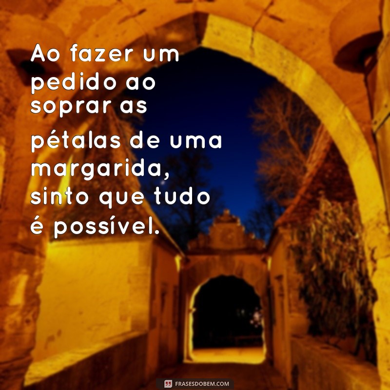 Descubra as melhores frases para se inspirar nos encantadores campos de margaridas 