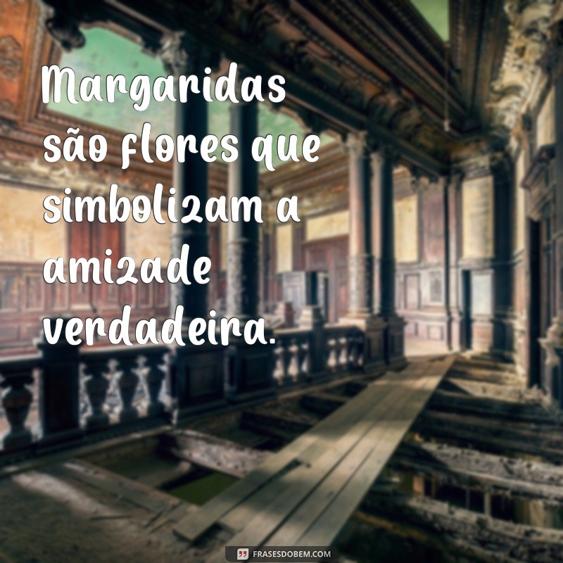 Descubra as melhores frases para se inspirar nos encantadores campos de margaridas 