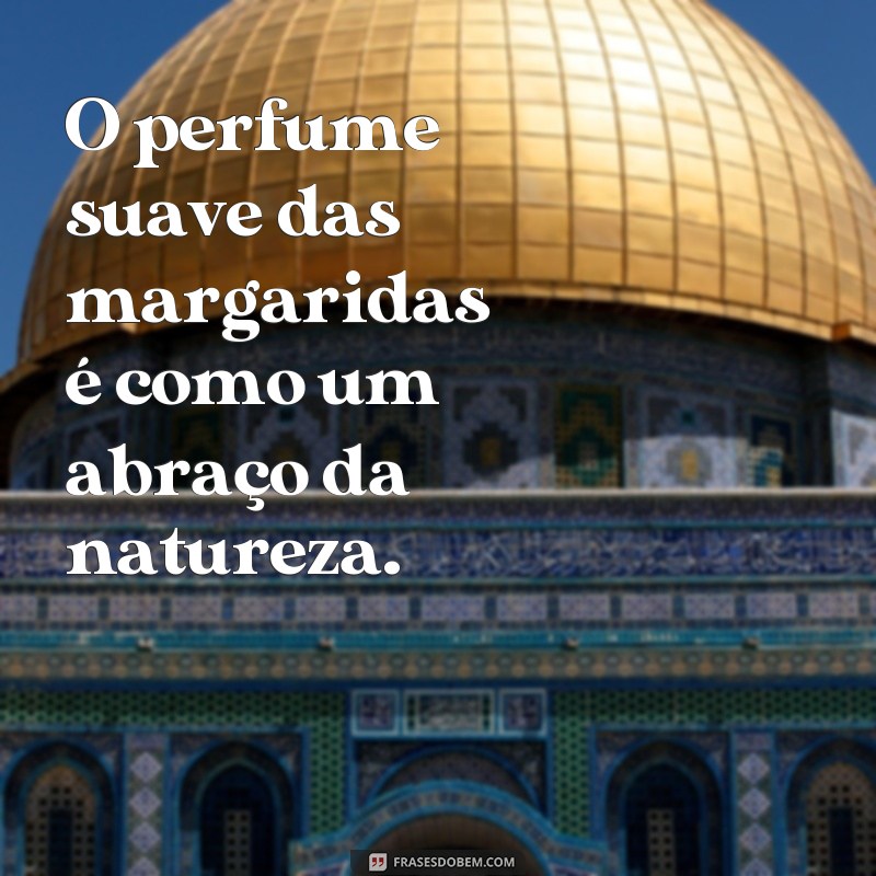 Descubra as melhores frases para se inspirar nos encantadores campos de margaridas 