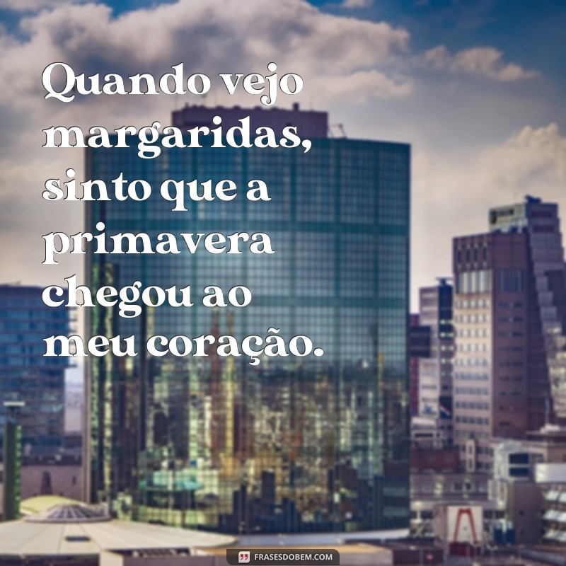 Descubra as melhores frases para se inspirar nos encantadores campos de margaridas 