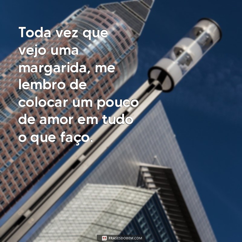 Descubra as melhores frases para se inspirar nos encantadores campos de margaridas 