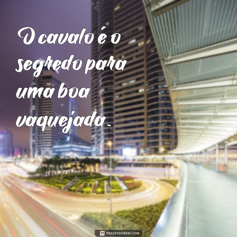 Descubra as melhores frases para legendar suas fotos de cavalo na vaquejada 