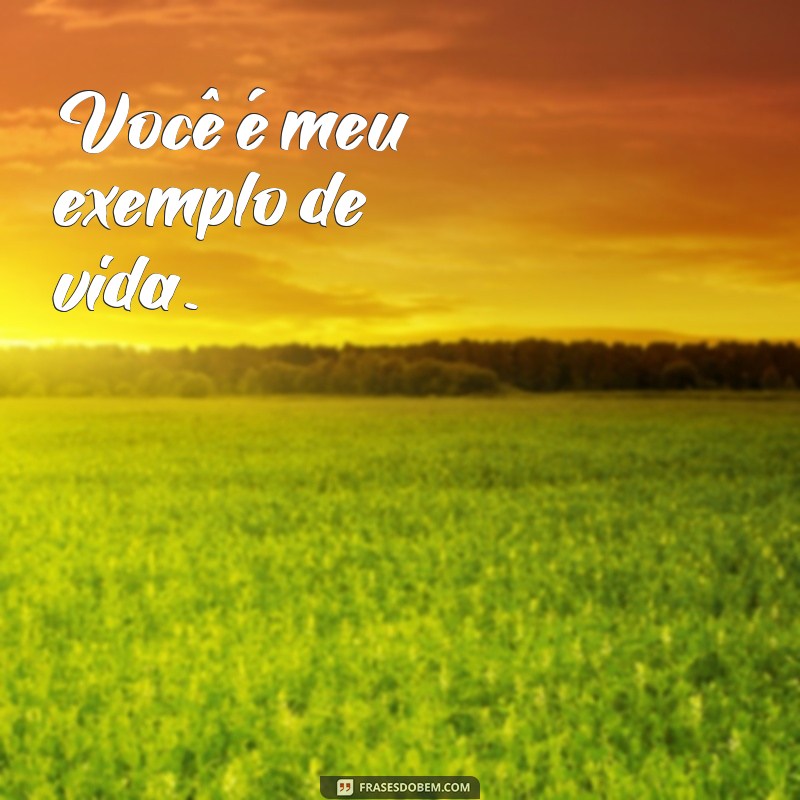 Frases Curtas e Inspiradoras para Celebrar o Dia dos Pais 