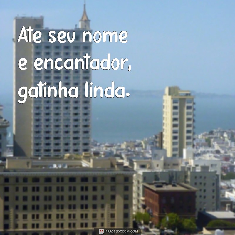 Encante-se com as melhores frases para uma gatinha linda 