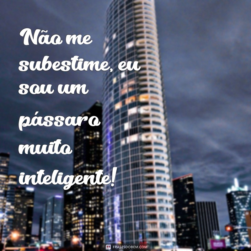 Descubra as melhores frases de Pica-Pau para alegrar seu dia! 