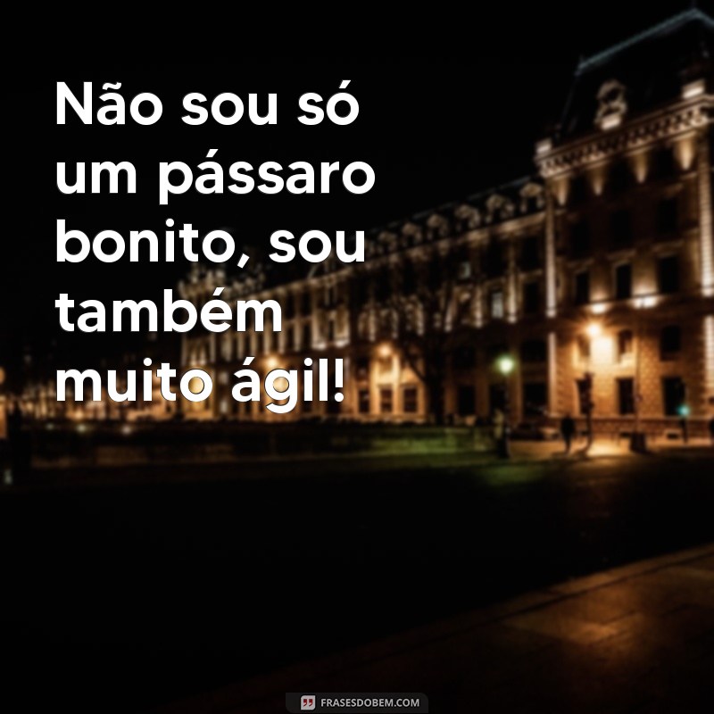 Descubra as melhores frases de Pica-Pau para alegrar seu dia! 