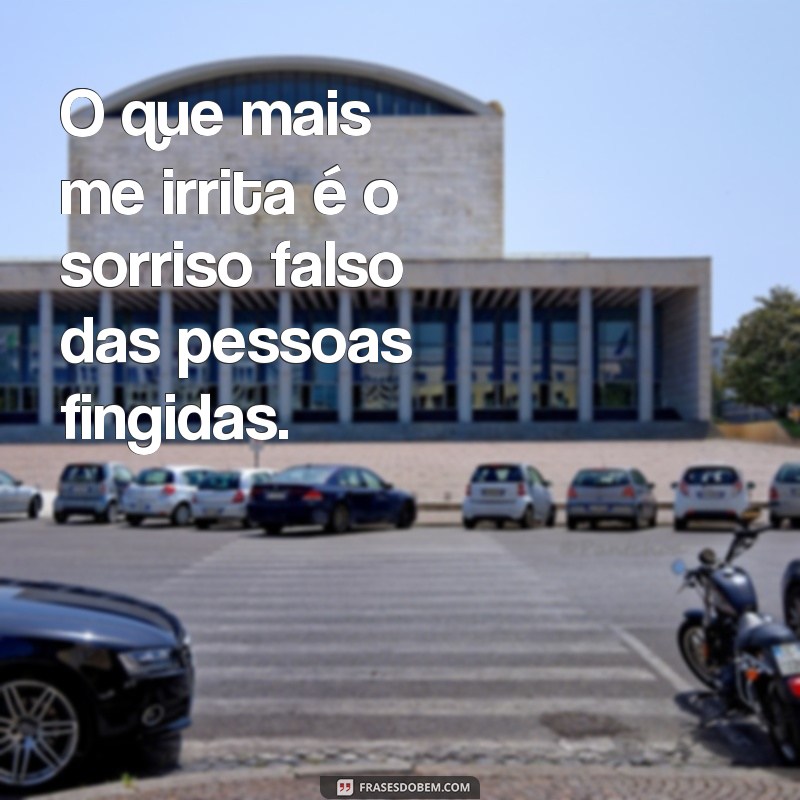 Descubra as melhores frases para expressar seu ódio por pessoas falsas e fingidas 