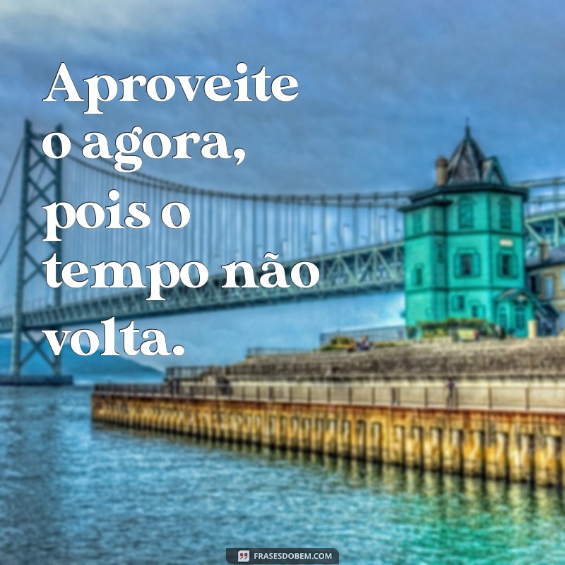 Descubra as melhores frases de positividade para estar bem com a vida 