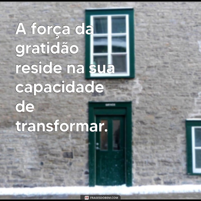 Frases Inspiradoras para Valorizar o que Realmente Importa 