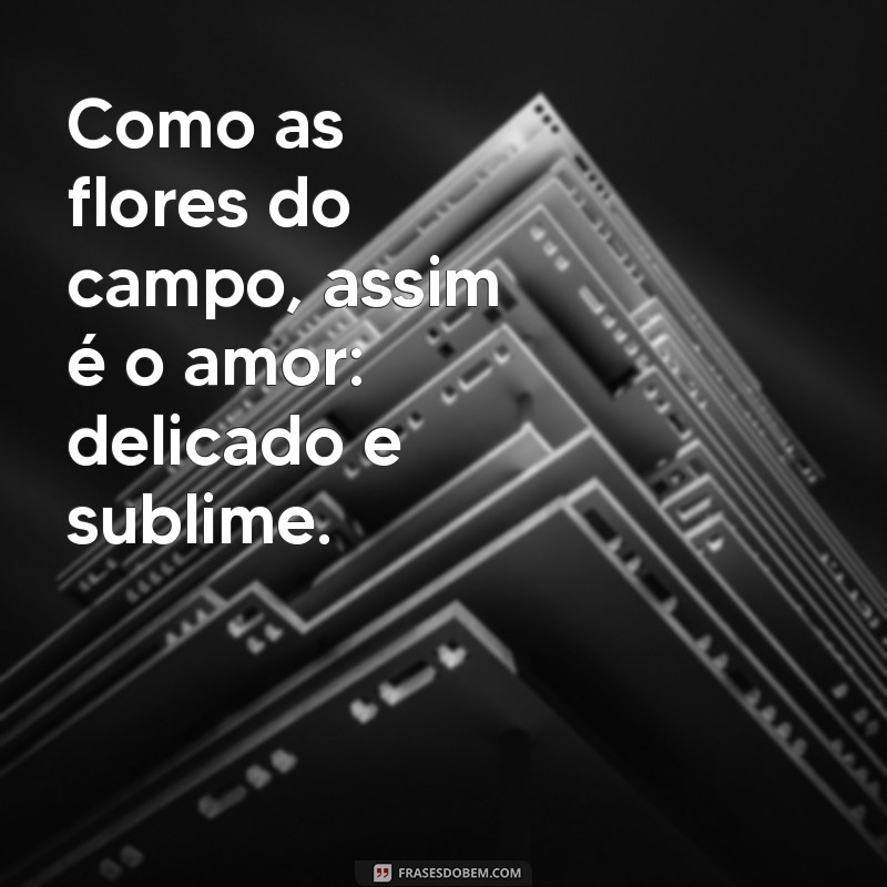 Frases de Amor Inspiradas nos Cantares de Salomão: Sabedoria e Romance 