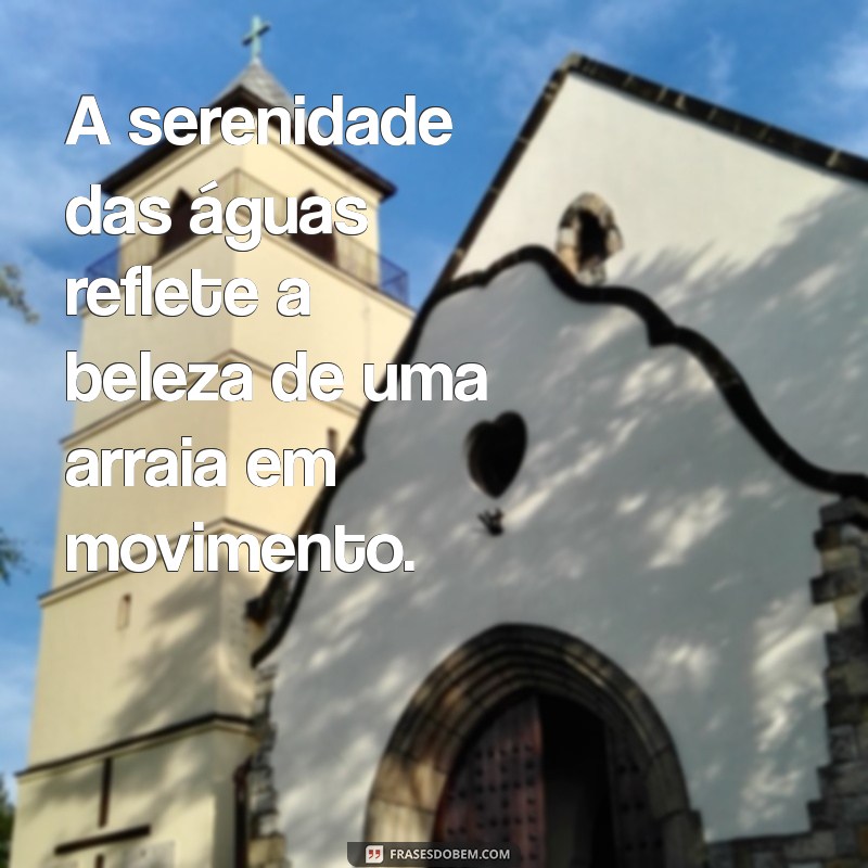 As Melhores Frases de Arraia para Deixar Suas Fotos Incríveis 