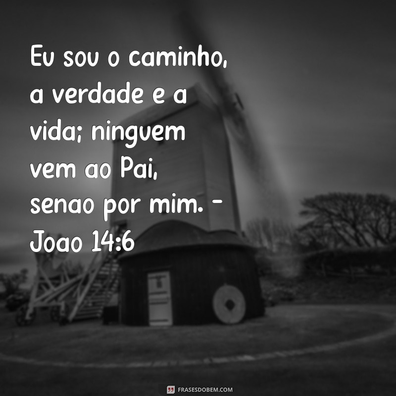 Descubra as mais poderosas frases de Deus em versículos inspiradores 