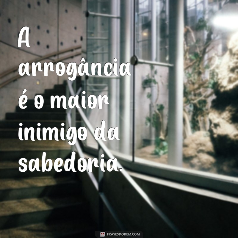 Descubra as melhores frases de inteligência e sabedoria para inspirar sua mente 