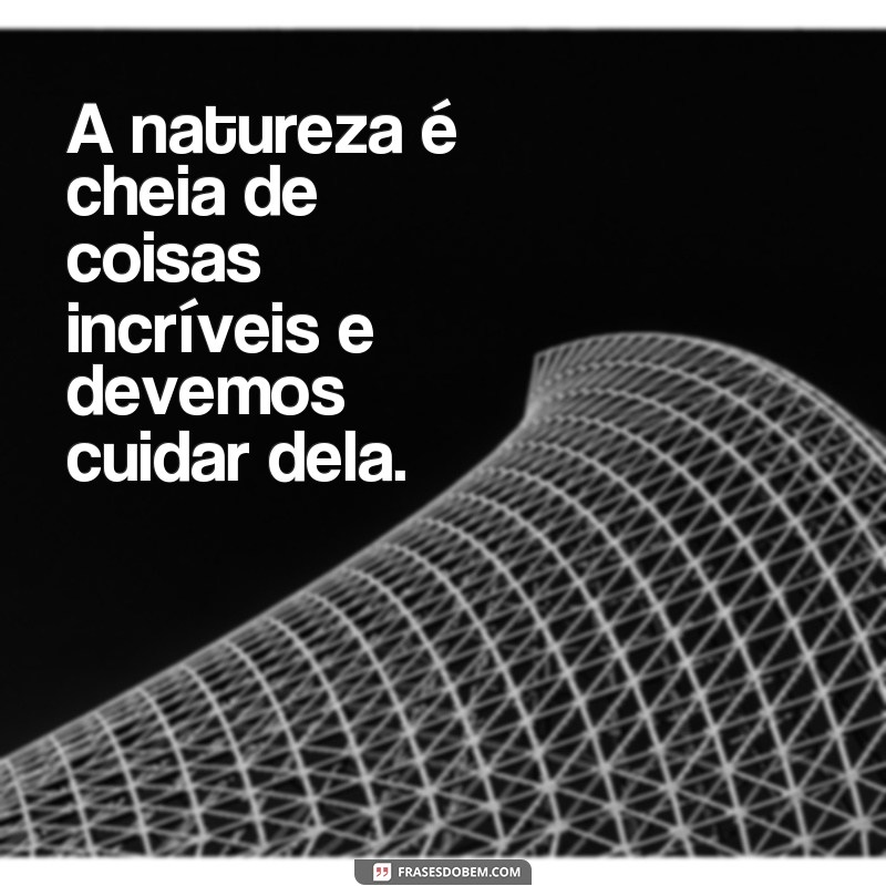 Descubra as melhores frases para incentivar a leitura nas crianças 