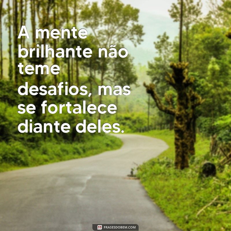 Descubra as melhores frases de uma mente brilhante para inspirar sua vida 