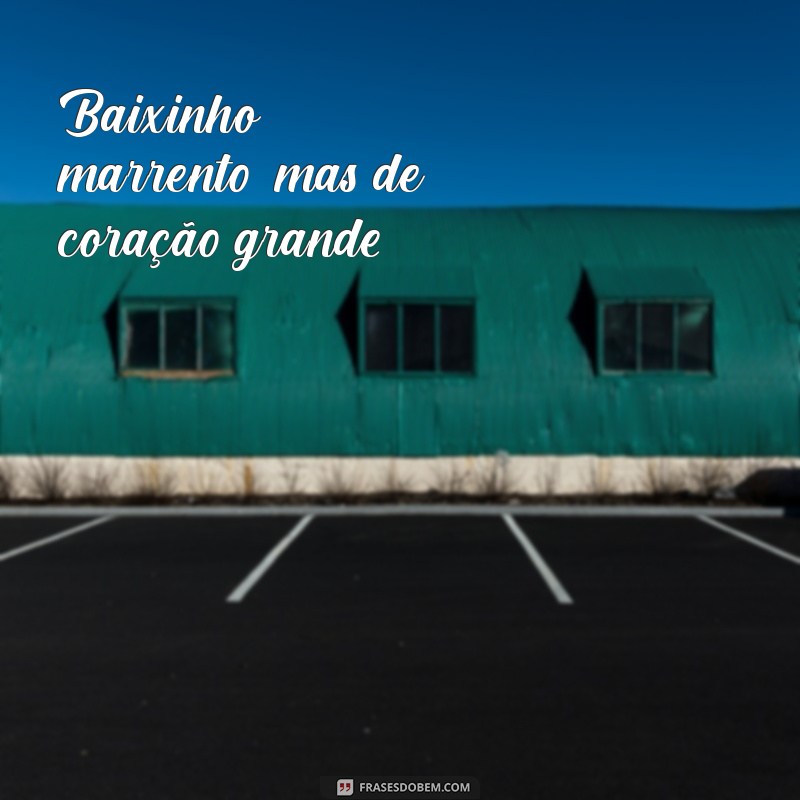 As Melhores Frases para Carros Rebaixados: Inspire-se e Personalize Seu Estilo 