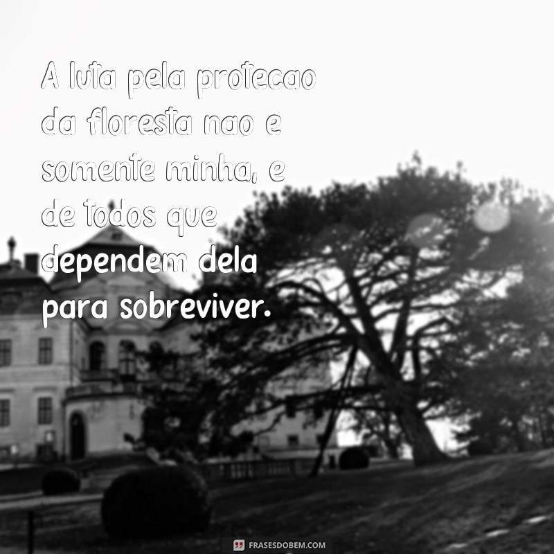 Descubra as melhores frases de Chico Mendes, o grande defensor da Amazônia 