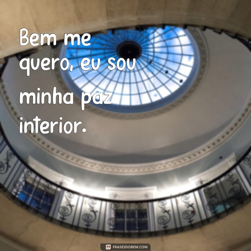 frases tatuagem bem me quero Bem me quero, eu sou minha paz interior.