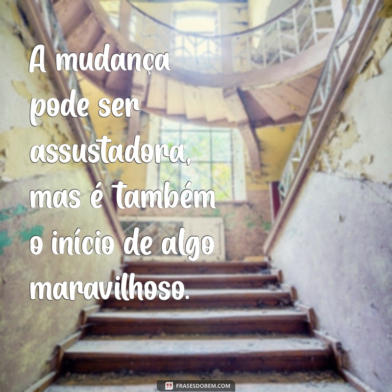 30 Frases Lindas de Reflexão para Inspirar Seu Dia 