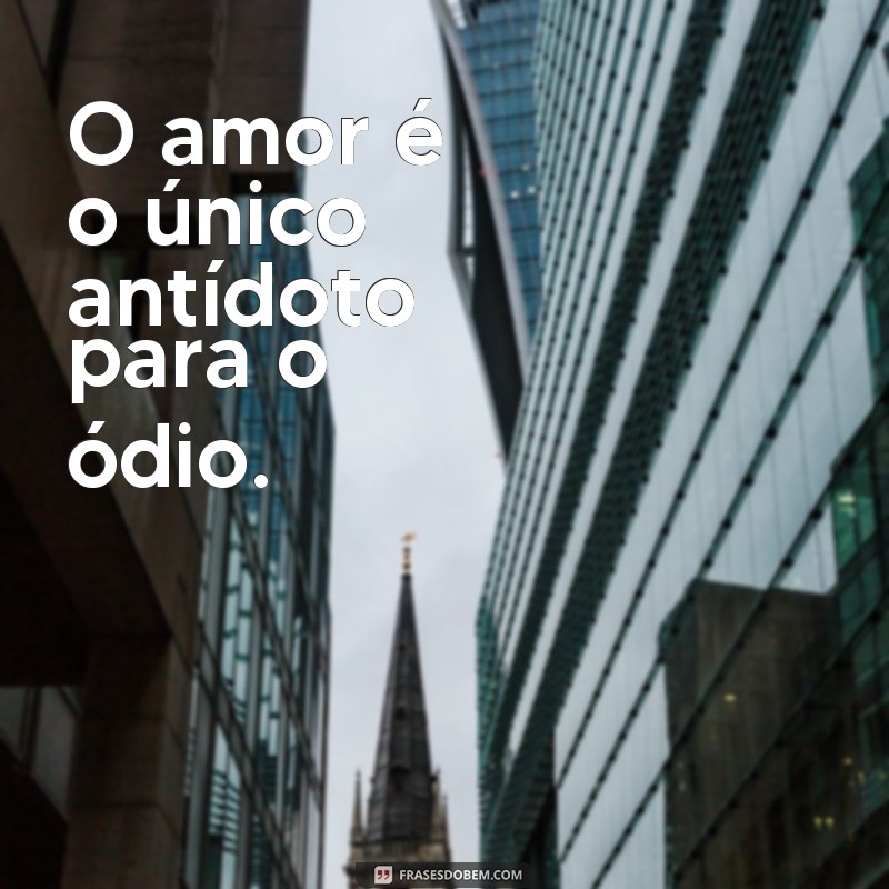 Conheça as melhores frases de Olavo de Carvalho e se inspire com sua sabedoria 