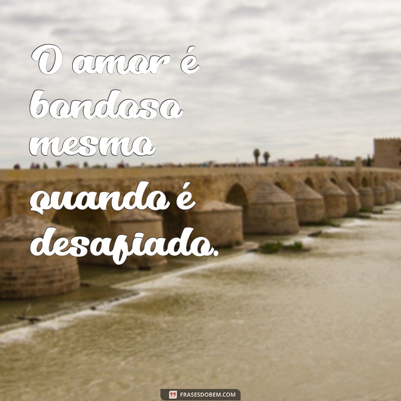 Descubra as mais belas Frases de 1 Coríntios 13:4-7 para inspirar o amor verdadeiro 