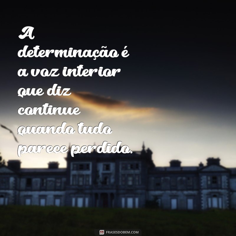 Frases Inspiradoras de Determinação e Sabedoria para Transformar Sua Vida 