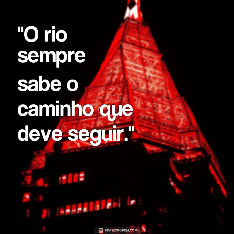 frases do velho do rio 